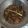 Cooksnap dari Nila Dewi untuk resep Tumis Kerang Dara