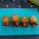 Cooksnap dari Neng Soraya latifah untuk resep Octopus Potatoes