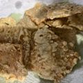 Cooksnap dari Luluk QA untuk resep Tempe goreng kriuk #BikinRamadanBerkesan
