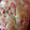 El cooksnap de Elena Martín cuando hizo Roscón de reyes.