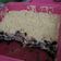 Cooksnap dari Detty Siti Fatimah untuk resep Cheese Cake Lumer Oreo
