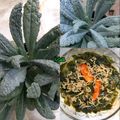 Cooksnap dari isa untuk resep Gulai Kale (Pengganti daun singkong d US)