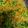 Vaishali Arora's cooksnap of when they made Nutrila burji.