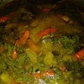 Cooksnap dari Windy Herlani untuk resep Sop kuning ikan nila kemangi