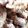 Cooksnap de Scox sur la recette Nuggets de poulet fait maison