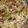 Aqsa Shaikh's cooksnap of when they made Chicken cheese pasta.