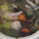 Cooksnap dari Fikacuu untuk resep Sayur sop ceker