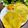 Barnali Saha's cooksnap of when they made করাইশুঁটির কচুরি (Koraisuntir Kochuri recipe in Bengali).