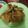 Cooksnap dari Kini Ahmad untuk resep Martabak telor enak ala abang2