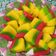 Cooksnap dari dewi puspita untuk resep Bolu Santan Kukus Lapis Trio / Pelangi Tanpa Pengembang