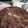 El cooksnap de Cindy da Silva cuando hizo Torta de manzana invertida.