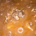 صورة من من كل بحر قطره، شاركها بعد تجربة وصفة مرقوق باللحم 😍👏