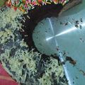Cooksnap dari Aisha Ny'Juhandi untuk resep Bolu Panggang Chocolatos