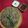 Dipti Patel's cooksnap of when they made મેથી થેપલા (Methi Thepla Recipe in Gujarati).