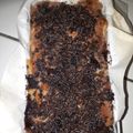 Cooksnap dari Angel untuk resep Puding roti tawar panggang