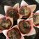 El cooksnap de Caro Bonetto cuando hizo Muffins de chocolate: 🧡¡Espectaculares!🧡.