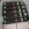 Cooksnap dari PujiLestari BundaGhifari Agistio untuk resep Bolu jadul kismis simpel