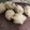 Cooksnap dari Mustika untuk resep Batagor Aci Tahu ala abang-abang kaki lima