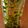 K's cooksnap of when they made Dill infused oil.