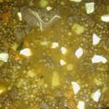 El cooksnap de Dylan Almiron cuando hizo Guiso de lentejas súper fácil, nutritivo y económico :).