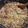 El cooksnap de Pablo Smith cuando hizo Risotto de arvejas y almendras - Vegano.