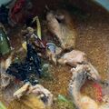 Cooksnap dari aya untuk resep Tongseng Ayam Jamur tanpa santan
