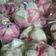 Cooksnap dari naning purwati untuk resep Bolu kukus mekar lembut anti gagal
