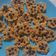 Cooksnap dari Virly Churianti untuk resep Carrot Oat Cookies #masihdalammenudiet
