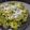 El cooksnap de Dina cuando hizo Risotto de espinaca.