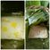 Cooksnap dari R-STY untuk resep Nagasari