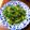 Lin Shu Jhen 的 炒山茼蒿 cooksnap