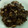 El cooksnap de MaryGlory cuando hizo Setas con morcilla al estilo Merche.