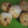 Raven's cooksnap of when they made Coconut Macaroons.
