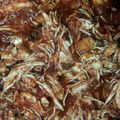 vickiz879's cooksnap of when they made Slow Cooker Mexican Chicken.