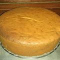 Cooksnap dari DapoerAy's untuk resep Bolu Kukus Chocolatos (no sp, bp, bs)