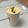 Monica 的 布丁酪梨牛奶 cooksnap