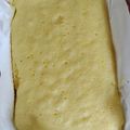 El cooksnap de Maria Elena Peñaloza Pittaro cuando hizo Lemonies/ Cuadrados de Limón.