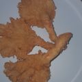 Cooksnap dari E Lestari untuk resep Jamur tiram crispy