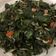 Cooksnap dari Cimenk untuk resep Oseng pucuk ubi/daun singkong