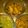 Cooksnap dari Anya's La Cuisine untuk resep Ayam Woku Khas Manado Asli