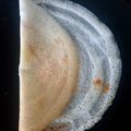 Payal Sachanandani (payal's kitchen)'s cooksnap of when they made રવા ઢોસા (Rava Dosa Recipe In Gujarati).