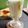Cooksnap dari Indri Arwin untuk resep Matcha milk coffe ice