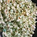 El cooksnap de ● Cindy Evans👩‍🍳 cuando hizo Pochoclos como de Cine.