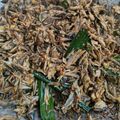 Cooksnap dari Dyah Isnaini Puspitasari untuk resep Cakalang Suwir Khas Manado