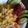 Cooksnap Maria Estralita semasa beliau membuat Nasi Kuning Sambal Merah Ikan Tongkol. #Phopbylinimohd #batch17.
