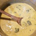 anitapease's cooksnap of when they made One pot broccoli cheddar soup.