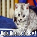 El cooksnap de mirian lopez cuando hizo Camarones guisados al estilo Dominicano.