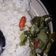 Cooksnap dari Ana untuk resep Sayur lodeh tempe