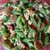 Cooksnap dari yunita hastuti untuk resep Tumis Buncis Telur