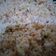 Cooksnap dari dewiana untuk resep #19 Nasi Goreng Teri